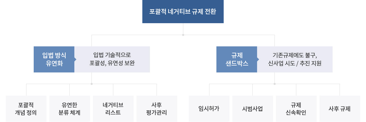 포괄적 네거티브 규제 전환 / 입법 방식 유연화 - 입법 기술적으로 포괄성, 유연성 보완(포괄적 개념 정의,유연한 분류 체계,네거티브 리스트,사후 평가관리) / 규제 샌드박스 - 기존규제에도 불구, 신사업 시도/추진 지원(임시허가,시범사업,규제 신속확인,사후 규제)